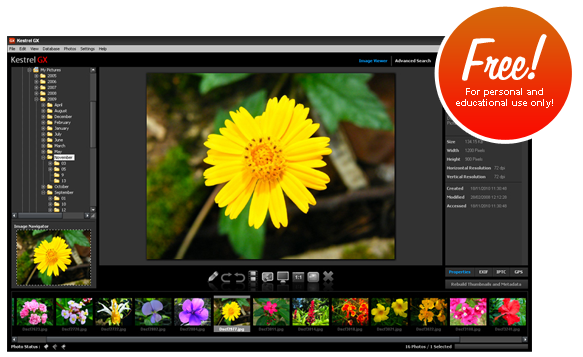 Kestrel GX free photo organizer and photo editor screenshot