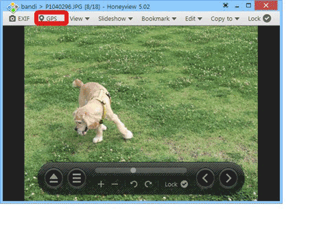 show gps, image viewer