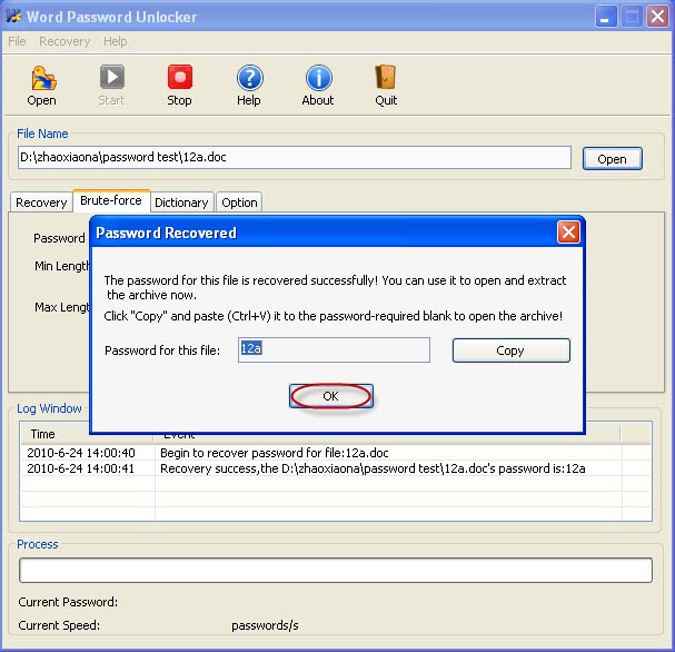 Word Password Recovery başarısı