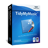 TidyMyMusic