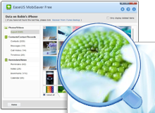 iPhone data recovery software previews lost files