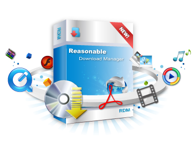 Reasonable Download Manager Interface