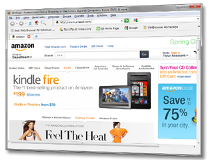 web browser software screenshot