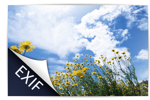 EXIF Editör
