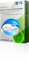 WonderFox DVD Video Converter 1-Year License