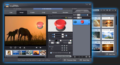 photo watermark software