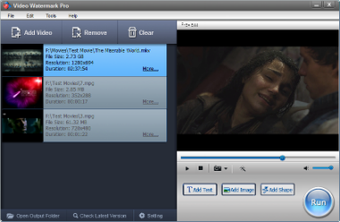 Video Watermark Pro