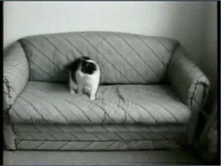 Video örnekten logosu kaldırmak