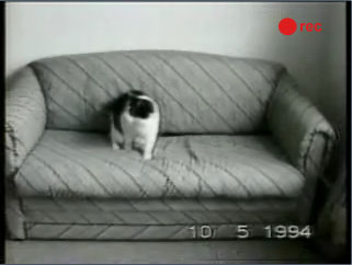 Video örnekten logosu kaldırmak