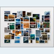 CollageIt örnekleri