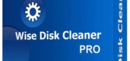 Wise-Disk-Cleaner-Pro