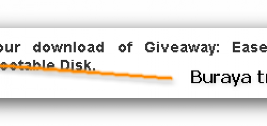 EaseUS Partition Master 9 Professional