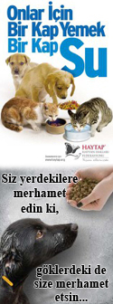 haytap