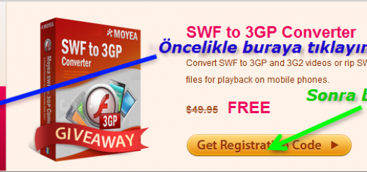 Moyea SWF to 3GP Converter