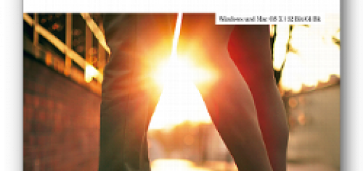 Color Projects Elements