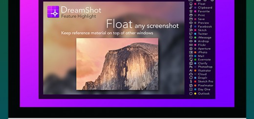 DreamShot Screen Capture