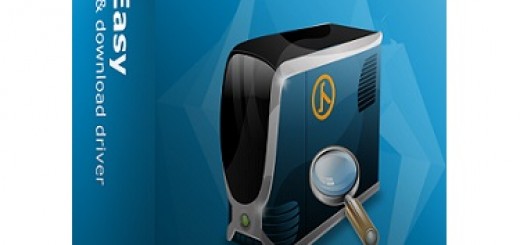 DriverEasy Professional