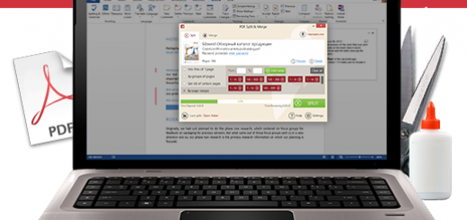 Icecream PDF Split&Merge