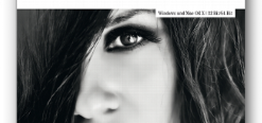 Silver Projects Elements